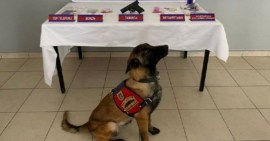 Jandarmadan uyuşturucu operasyonu...