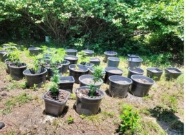 Kdz. Ereğlideki uyuşturucu operasyonunda 1 kişi tutuklandı