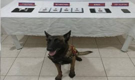 ZONGULDAKTA UYUŞTURUCU OPERASYONU